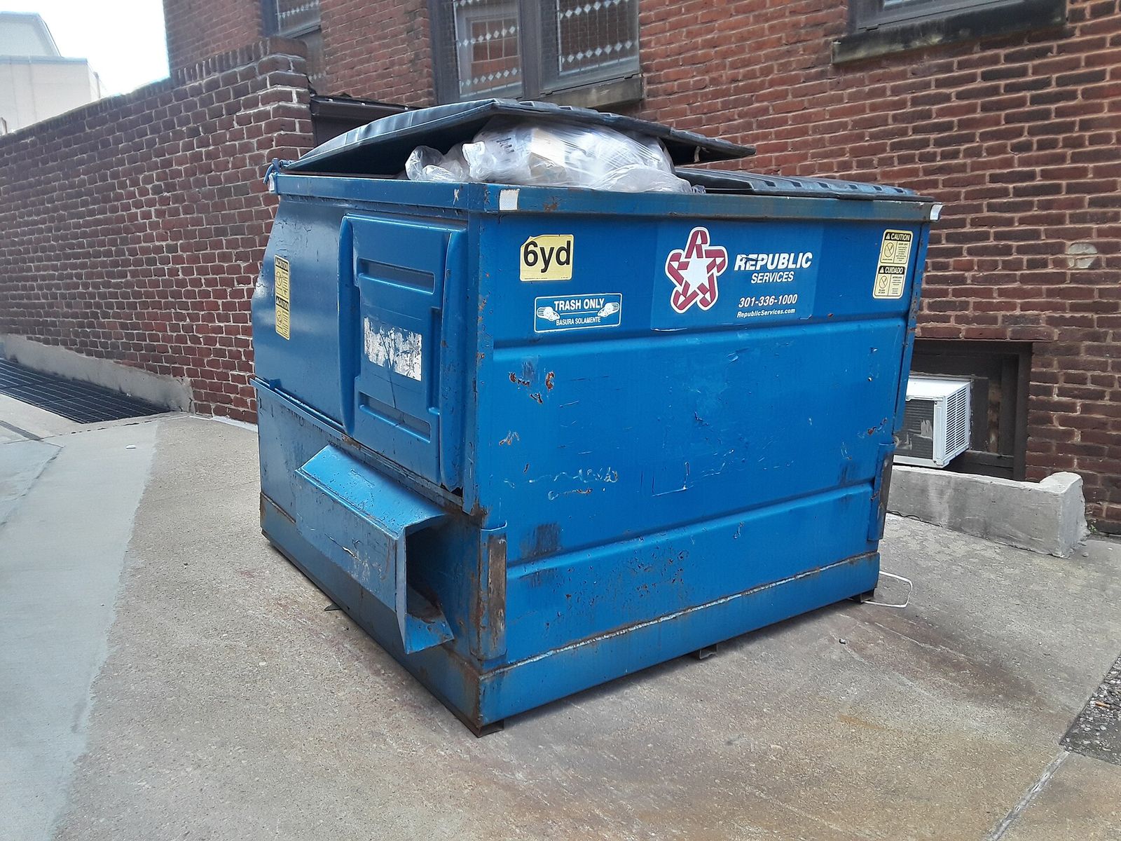 A blue dumpster in an alley
