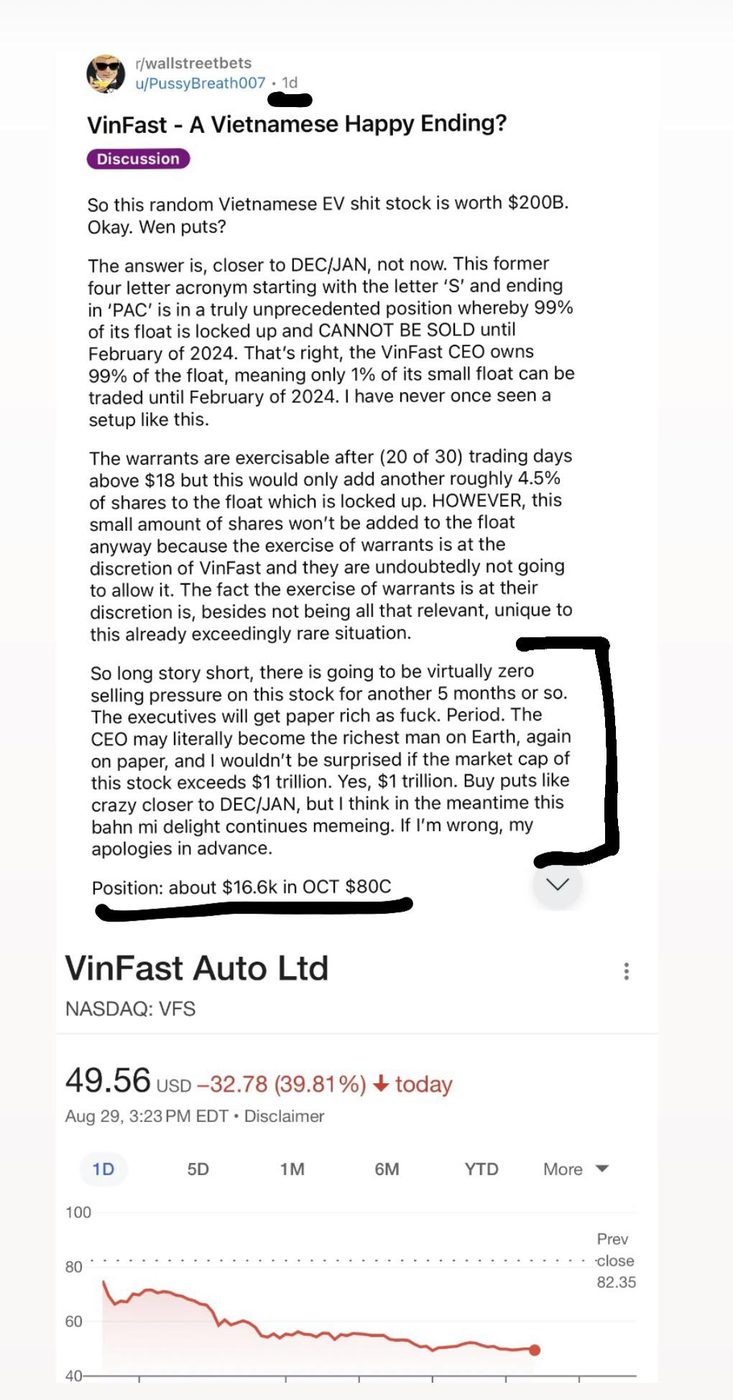 A screenshot of a VinFast options position deep in the red