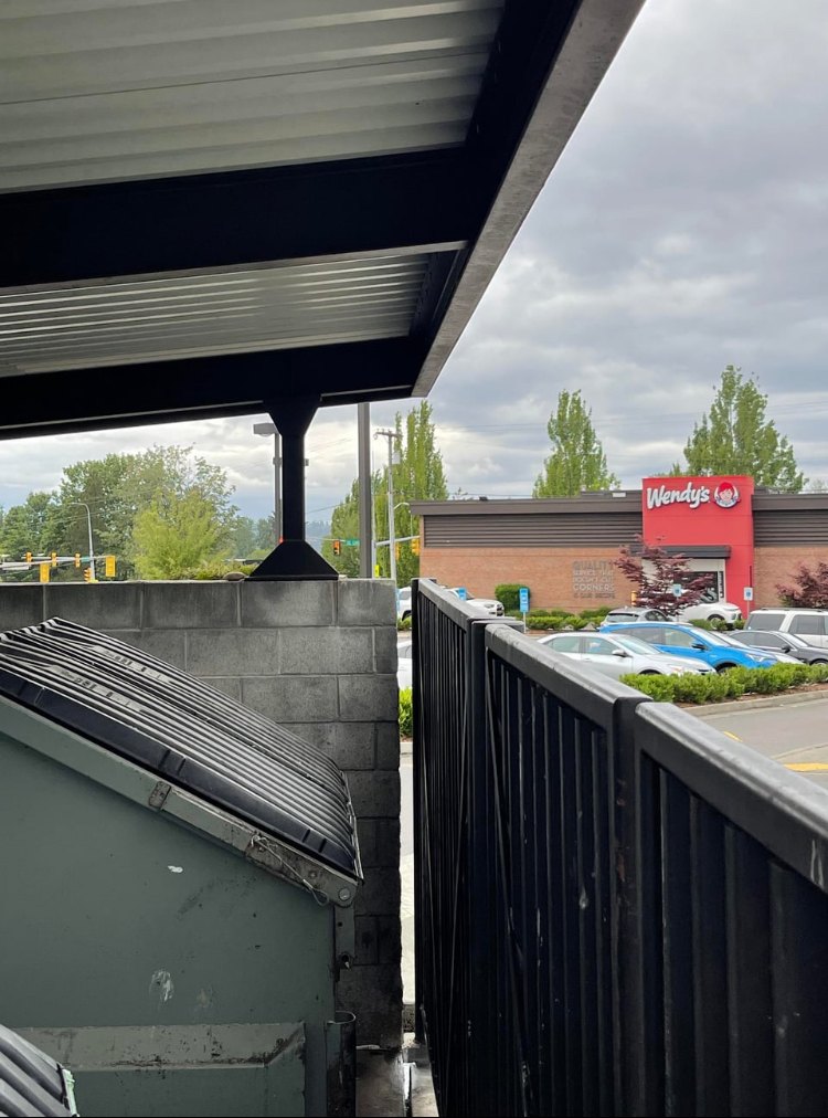 The dumpster behind a Wendy's, with the restaurant sign in the background